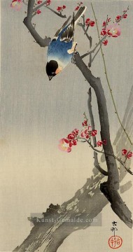  shin - Stierfink auf blühendem Pflaum Ohara Koson Shin Hanga